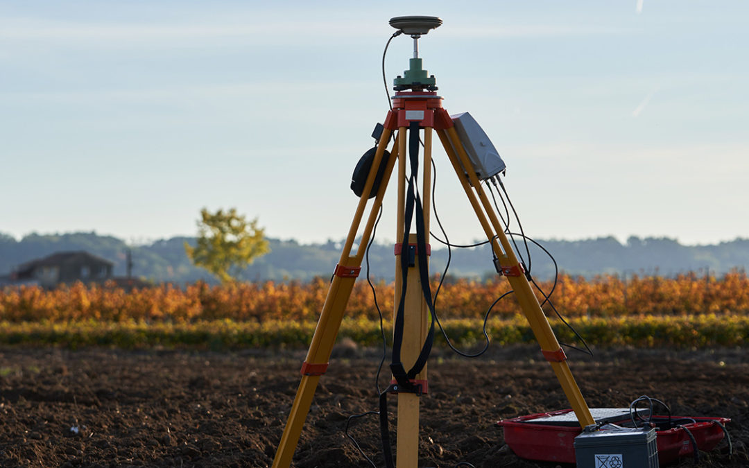 L’innovation dans la viticulture : transformer la plantation de vigne pour demain