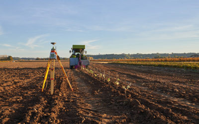 De la vigne à l’arbre : comment EcoSat accompagne la transition paysagère en Bourgogne