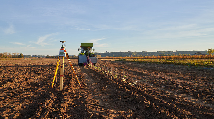 De la vigne à l’arbre : comment EcoSat accompagne la transition paysagère en Bourgogne