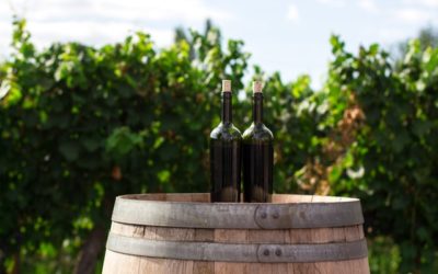 Petit lexique de la viticulture