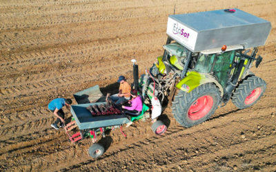 Réussir un projet de verger : de la préparation du sol à la plantation