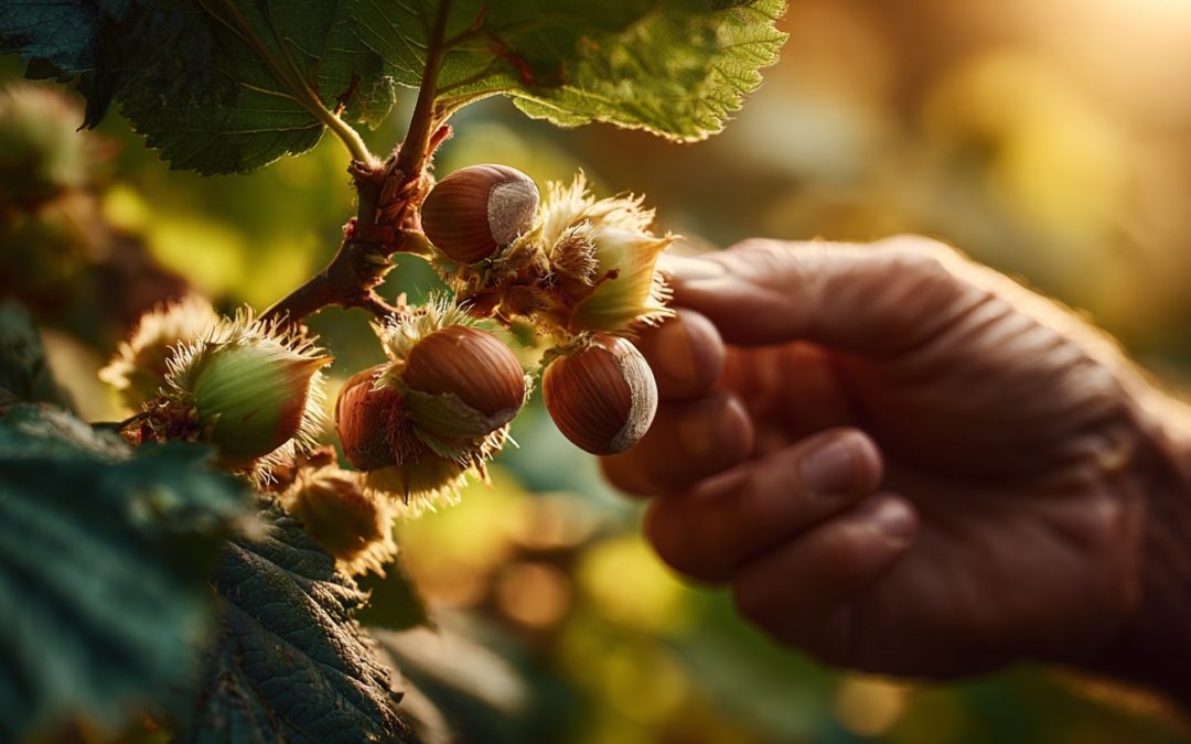 Quels types d’arbres sont plantés en Bourgogne viticole ?
