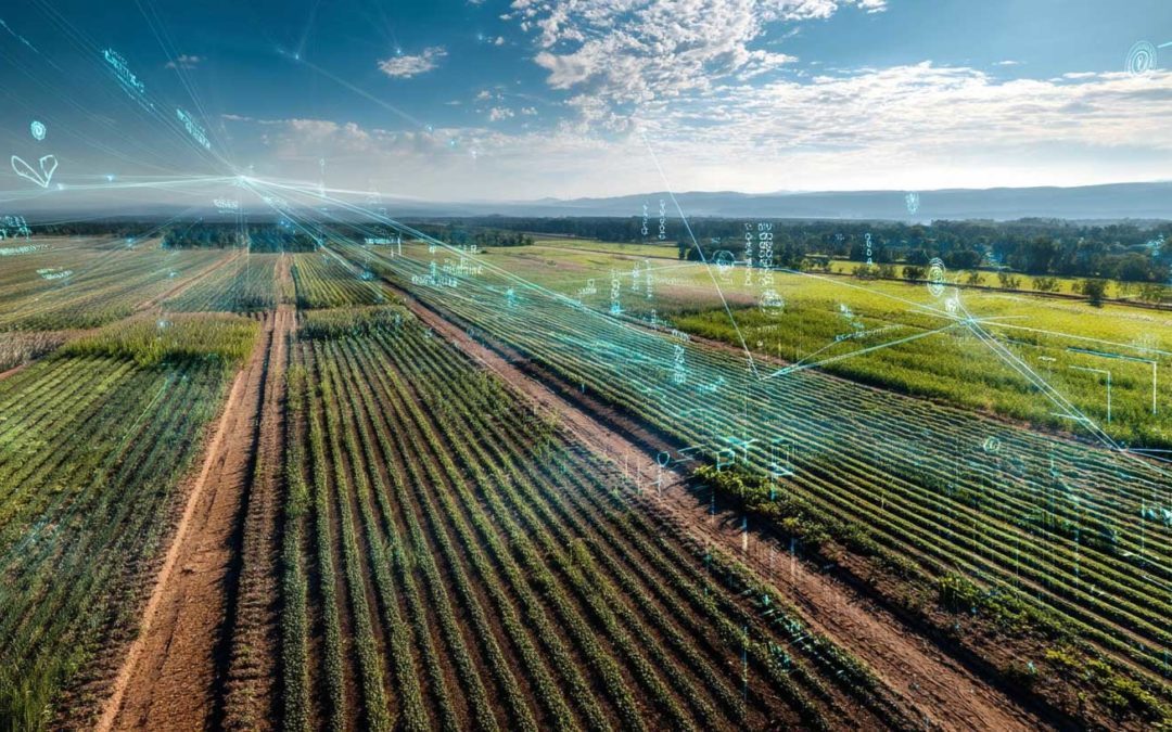 Plantation GPS vs plantation manuelle : quelles différences ?