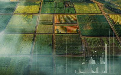 Le futur de la plantation GPS : automatisation et agriculture de précision