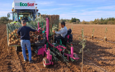 ￼Préparer son terrain avant la plantation d’un verger