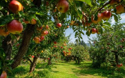 Quelle est la bonne période pour planter un arbre fruitier ?